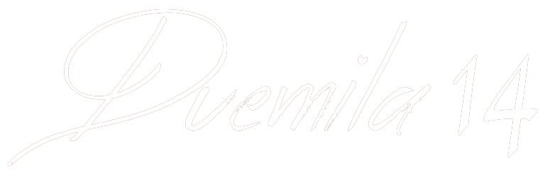 logo duemila14